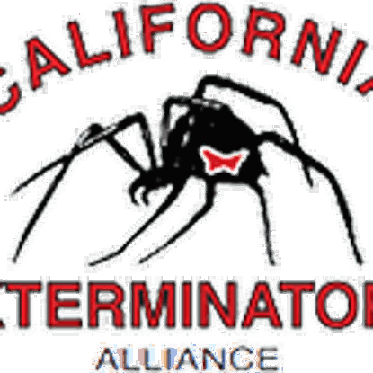 Crystal  England Photo